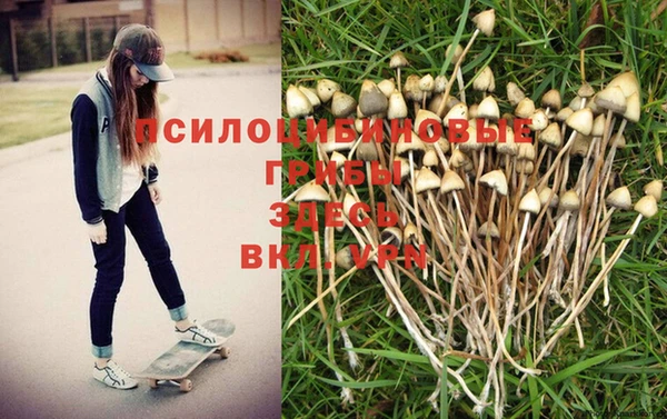 прущая мука Пролетарск
